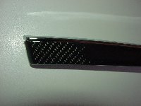 DSC09501.JPG